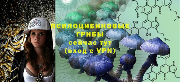синтетический гашиш Заводоуковск